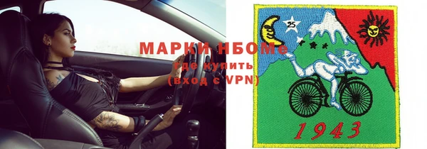 индика Алзамай