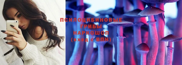 индика Алзамай