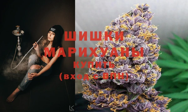 индика Алзамай