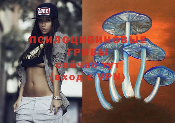 индика Алзамай