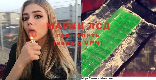 индика Алзамай