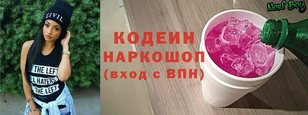 индика Алзамай